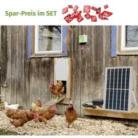 Automatische elektrische Hühnertür/Hühnerklappe | Autark mit Solar + Spezialakku im Spar-Set