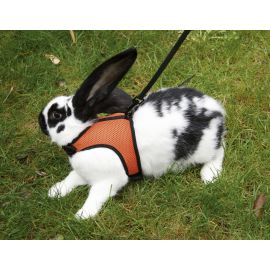 SPORT Kaninchengeschirr mit flexibler Leine 120cm